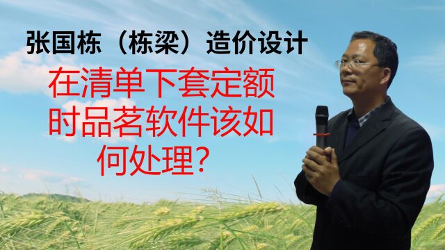 张国栋(栋梁)造价设计:在清单下套定额时品茗软件该如何处理?