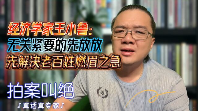 经济学家王小鲁:无关紧要的先放放,先解决老百姓的燃眉之急