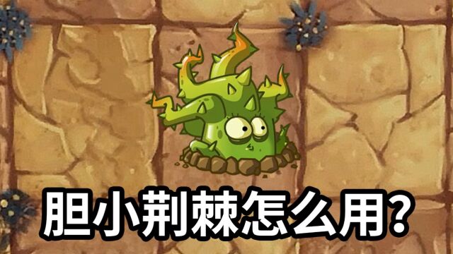 植物大战僵尸2中文版:胆小荆棘到底怎么用?