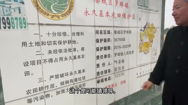 退林还耕政策好,湖田粮仓保证吃饭安全,粮食安全.表扬一下罗埠 #农技推广 #振兴乡村