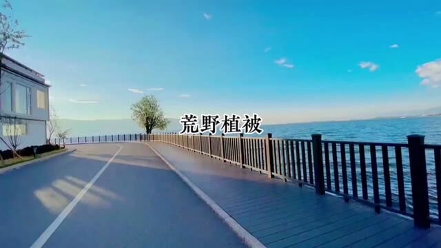 羊仔:羊羊我啊,今天被钱世面吓洗了啊#广播剧 #荒野植被 #羊仔 #钱文青 #史泽鲲