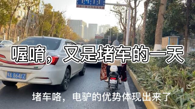 骑电动车都堵车了,发生了什么?