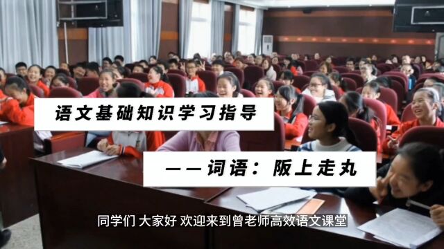 语文基础知识学习指导——词语:阪上走丸