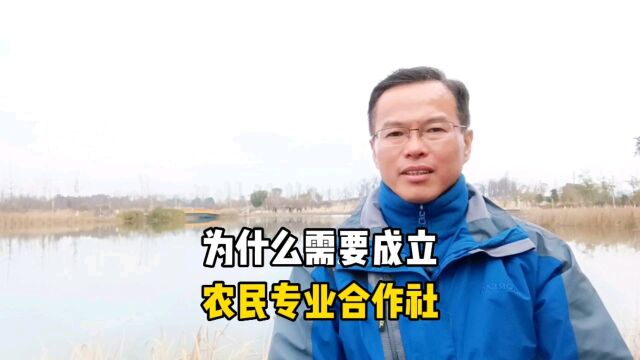 为什么要成立,农民专业合作社?