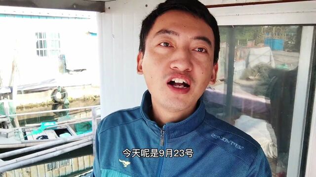 小伙在阳澄湖养的大闸蟹开捕啦,看看出湖的产量和质量如何?