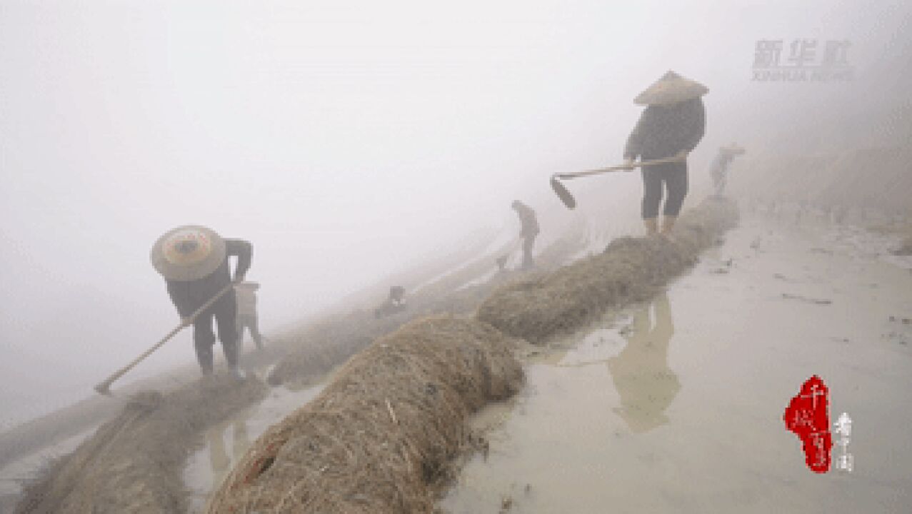 千城百县看中国|湖南新化:紫鹊界梯田春耕备耕忙