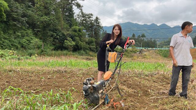 茅台镇有100亩高粱地,至少酿造2万斤酱酒,每年能赚多少钱?