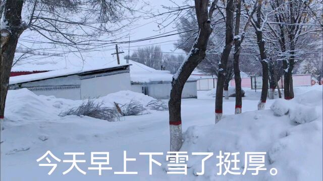 今天早上雪下的真厚,有是铲雪忙碌的一天.