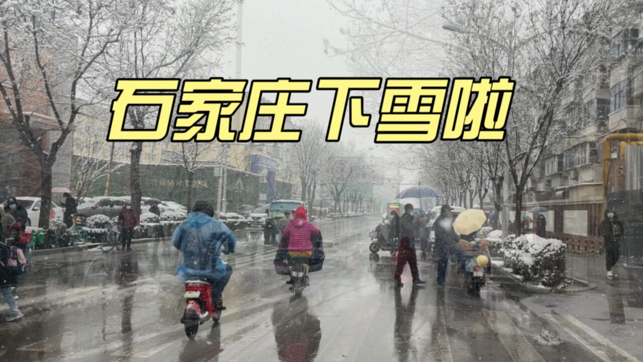 石家庄下雪啦,2023年2月9日石家庄迎来立春后第一场大雪