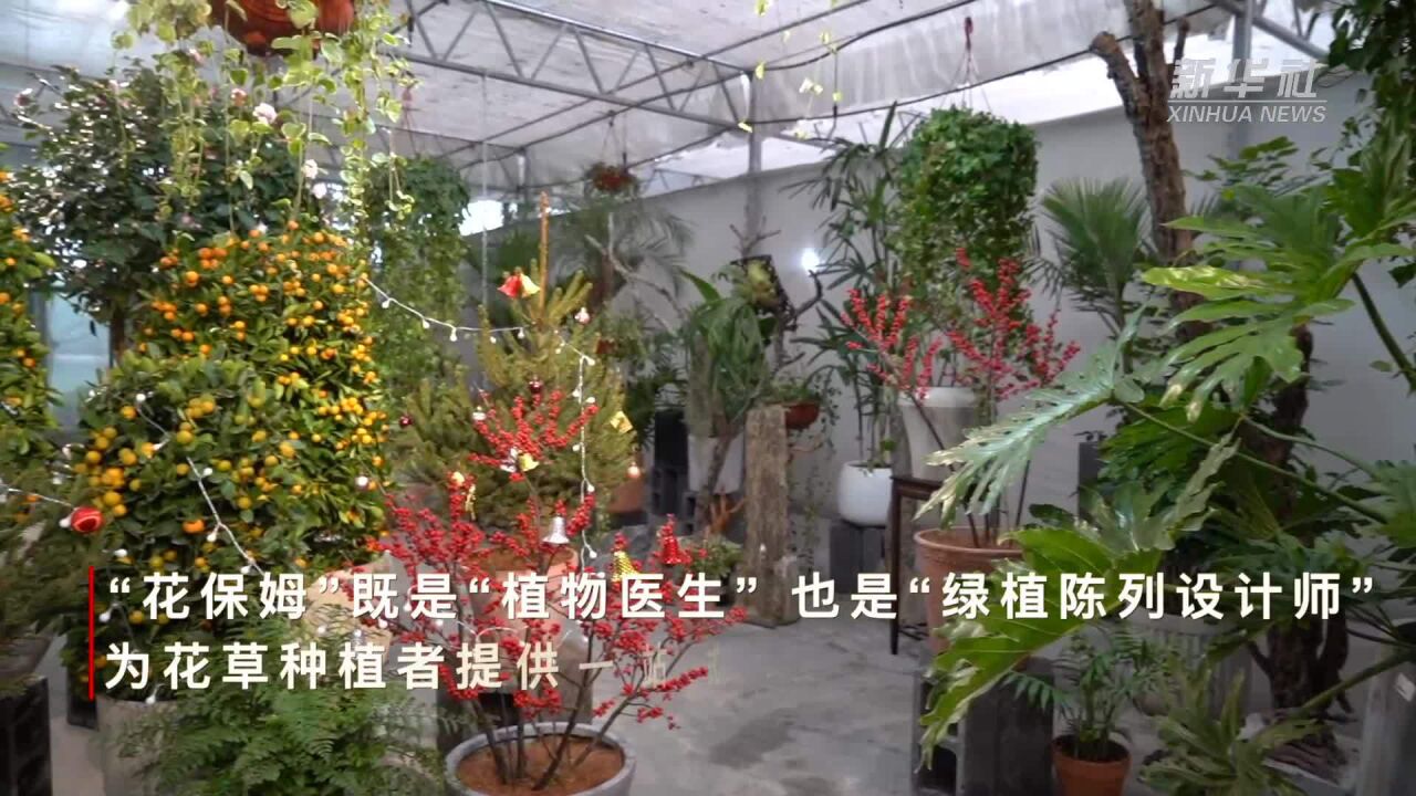 “95后”“花保姆”:为绿植爱好者“保驾护航”