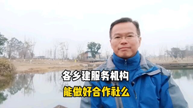 乡建服务机构,能做好农民专业合作社么?