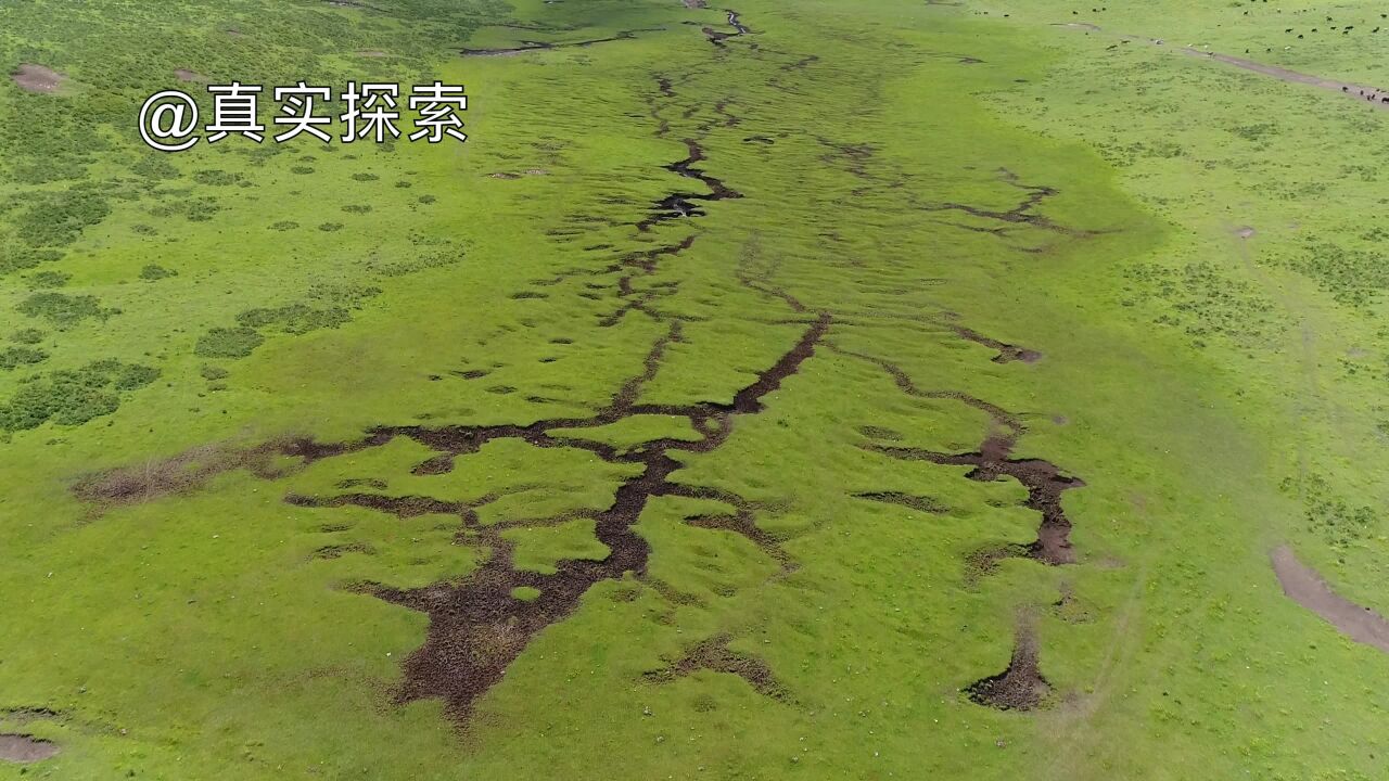 航拍大秦岭14:谷尕峡边的草原,甘肃陇南市宕昌县