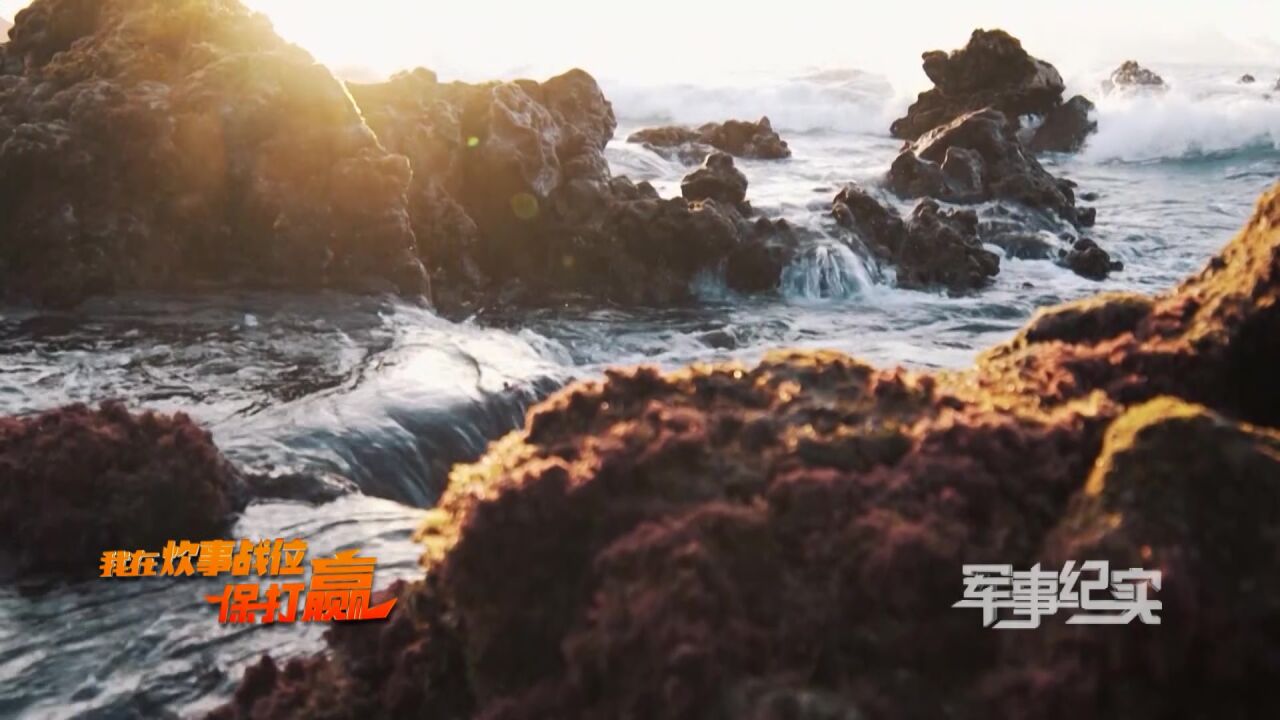 兵哥强烈推荐:开春后的第一场旅行来南麂岛!海景海浪海鲜应有尽有~