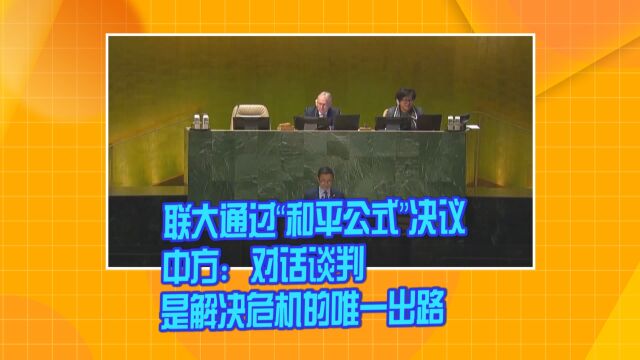 联大通过“和平公式”决议 中方:对话谈判是解决危机的唯一出路