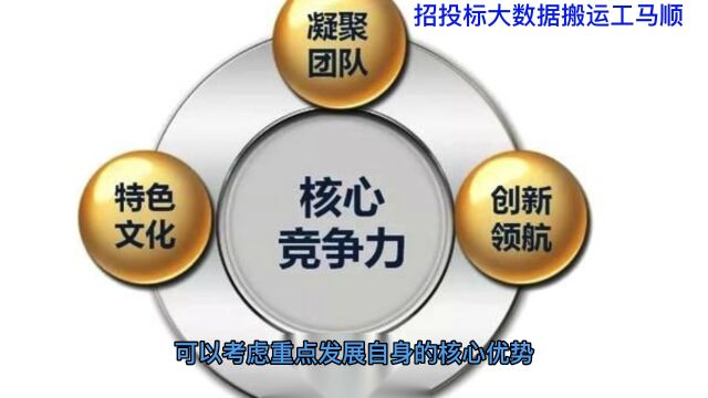 一,为分析不同中标项目的竞争对手情况,了解市场格局和竞争压力,以制定竞争策略提供参考,可以采取以下步