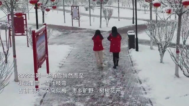 河北赞皇:晓风催春早 飞雪作梅花