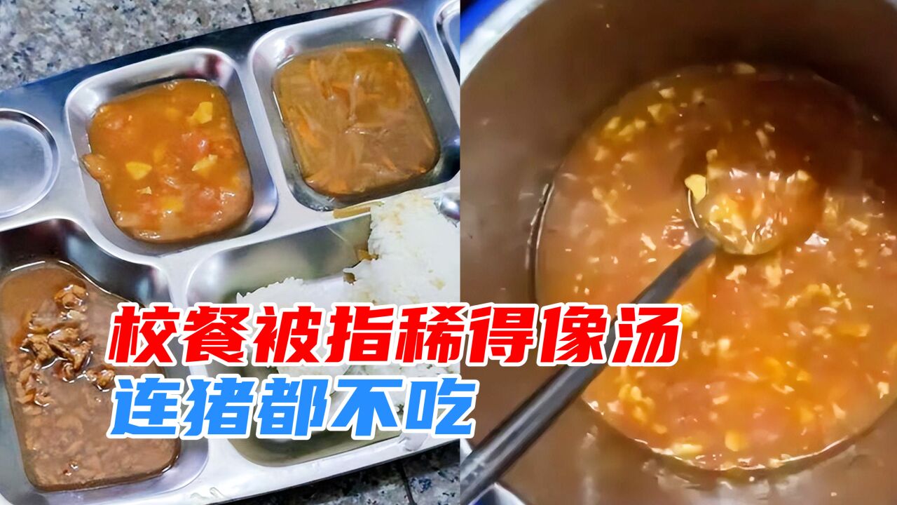 学生称饭菜稀得连猪都不吃,学校:新来的厨师不懂食材比例?