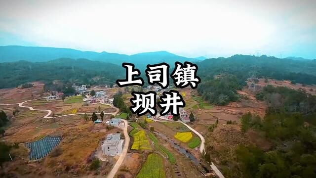 独山县上司镇坝井#我为家乡代言 #航拍 #农村 #麻尾热线