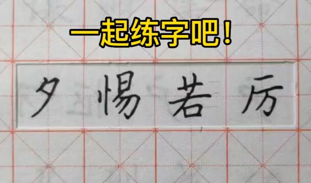 第31集 一起练字吧!中性笔楷书,成语“夕惕若厉”