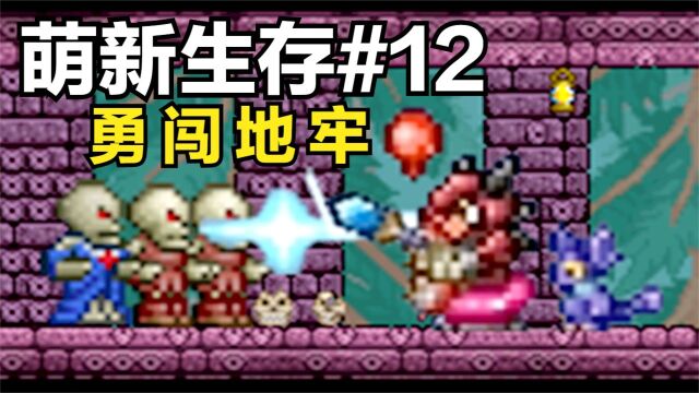 泰拉瑞亚:萌新生存#12,勇闯地牢!