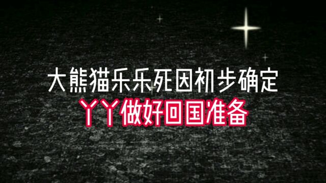 大熊猫“乐乐”死因已初步确认 已为接返大熊猫“丫丫”做好准备