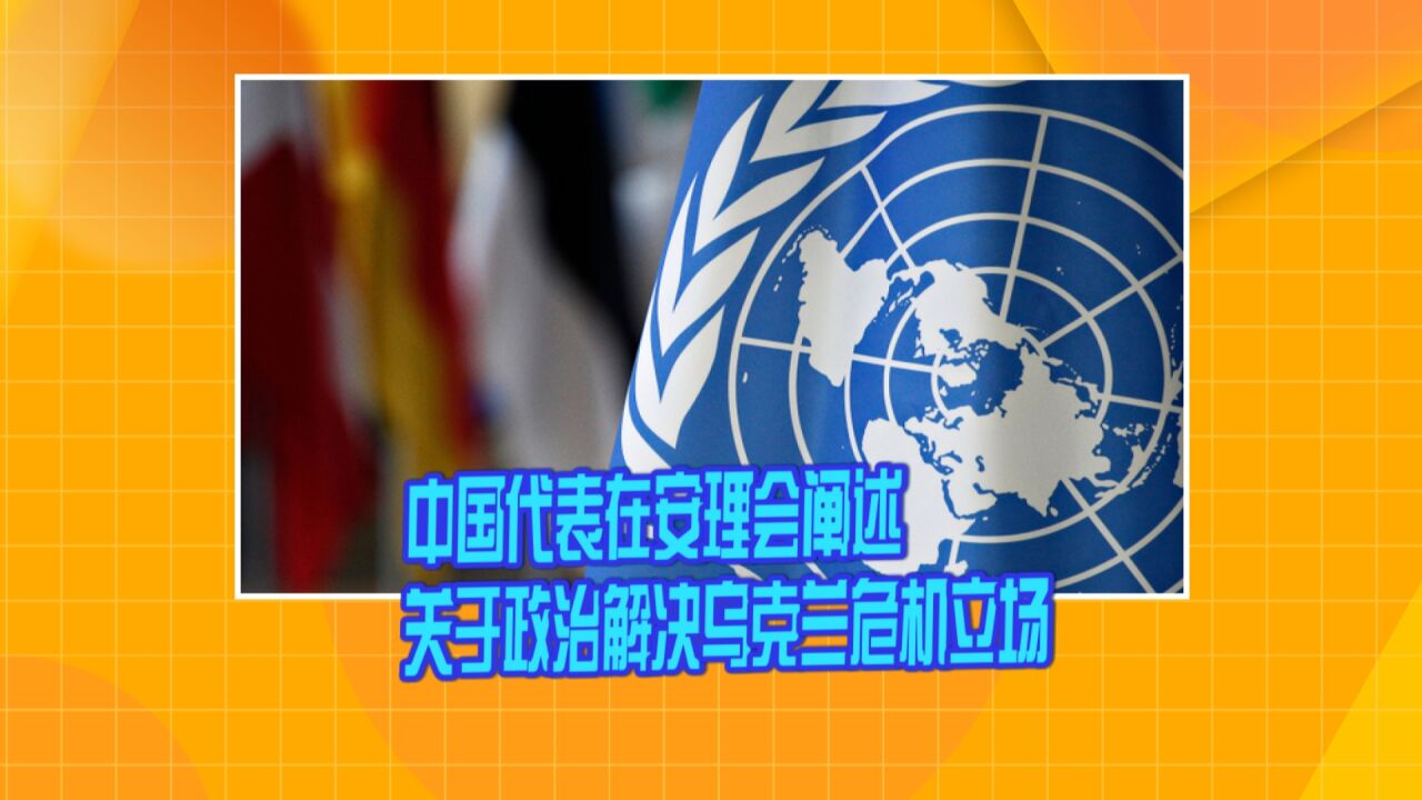 中国代表在安理会阐述关于政治解决乌克兰危机立场