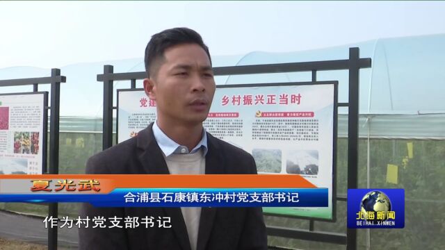 石康镇:土地流转出新路子,农户“辣”出“椒”傲