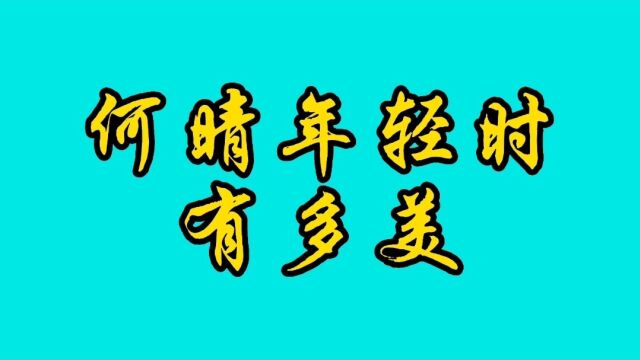 何晴年轻时盛世容颜,倾国倾城,不愧是内地第一古典美女