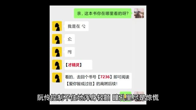 《爱你皆成过往》阮伶陆栩生小说已结局&全文无删减