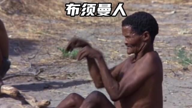 奇特的非洲布须曼人#动物 #布须曼人