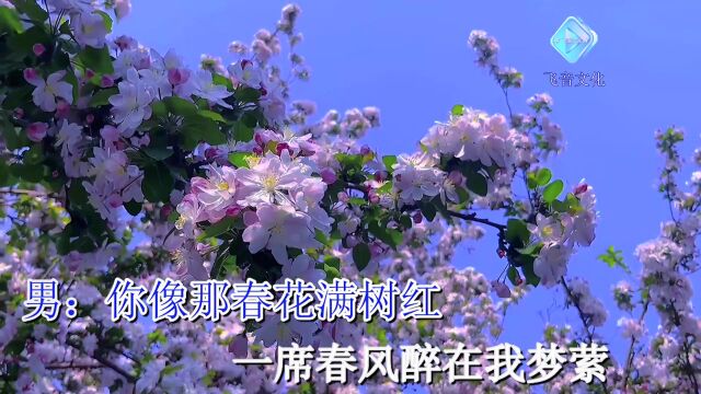 绿色心情/汪志祥《相爱到永恒》KTV