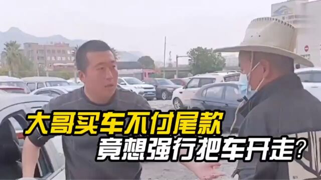 大哥买车不付尾款就想把车开走,竟还怪我不给他大绿本?