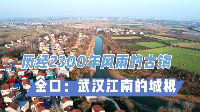 【寻城记3】历经2300年风雨的古镇金口,如何成为“黄金口岸”?