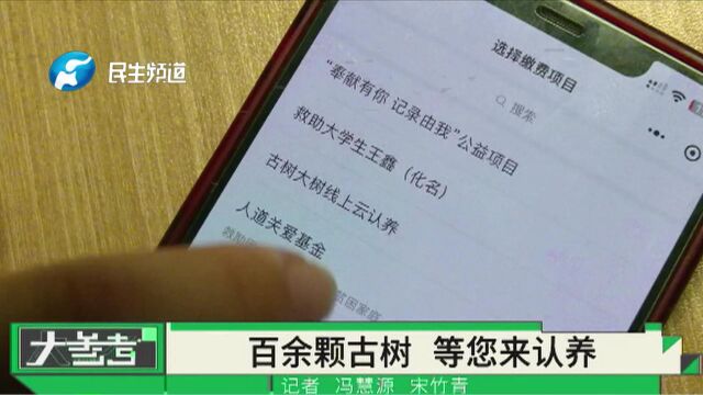 河南新乡:123棵古树,树龄均在百岁以上,等您来认养