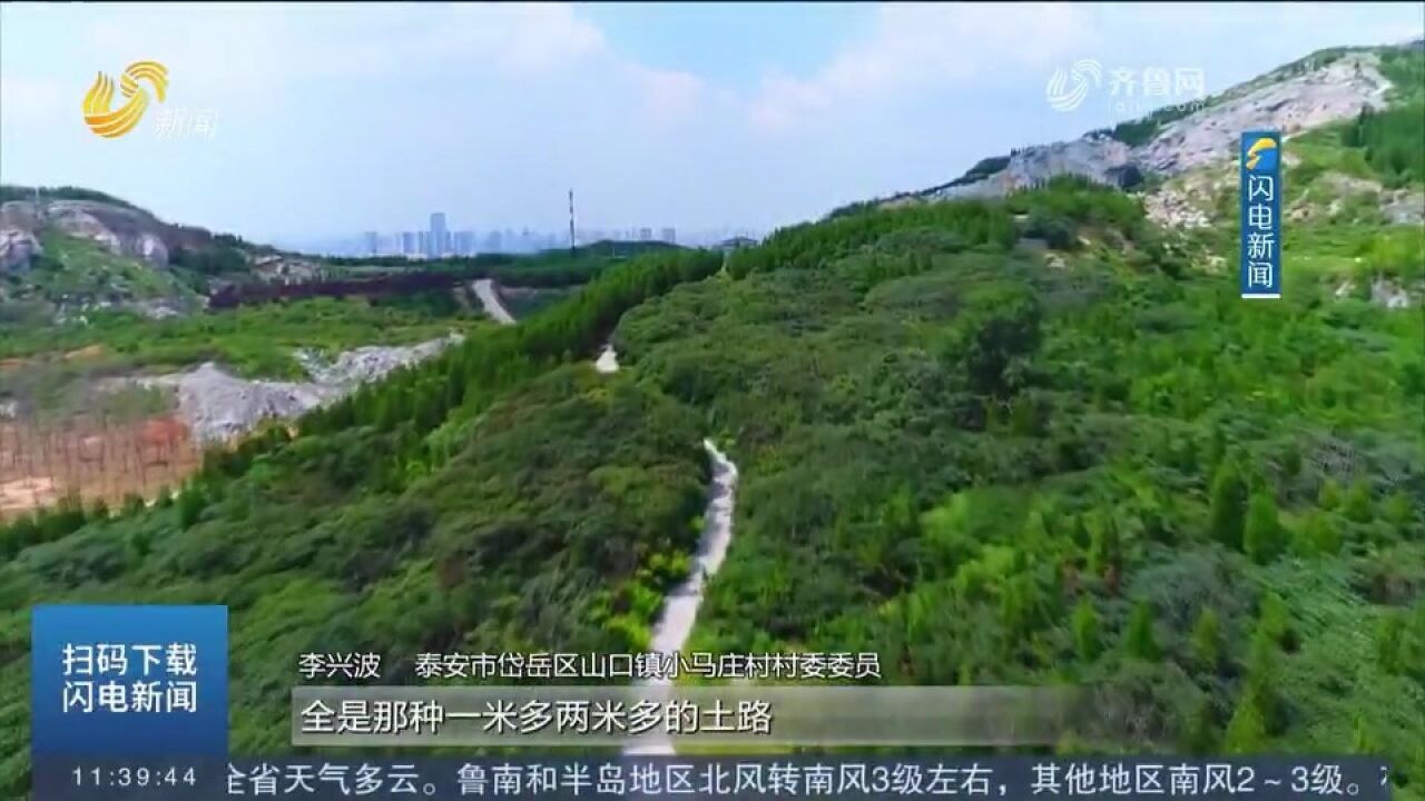 泰安市岱岳区:充分发挥生态资源优势,为乡村振兴注入新动力