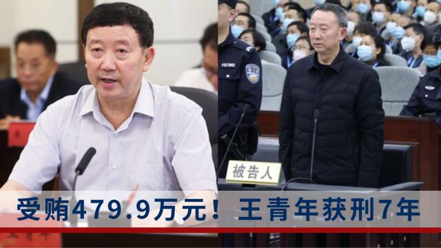 四川省粮食和物资储备局原副局长王青年获刑7年,受贿479.9万元,包括48瓶茅台酒