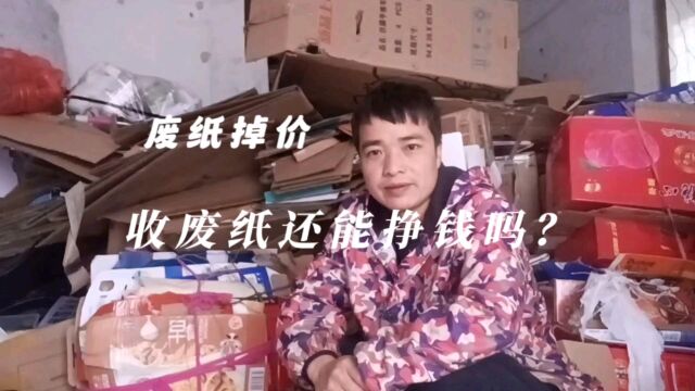 废纸掉价了,看看我现在收废纸还能挣多少钱???