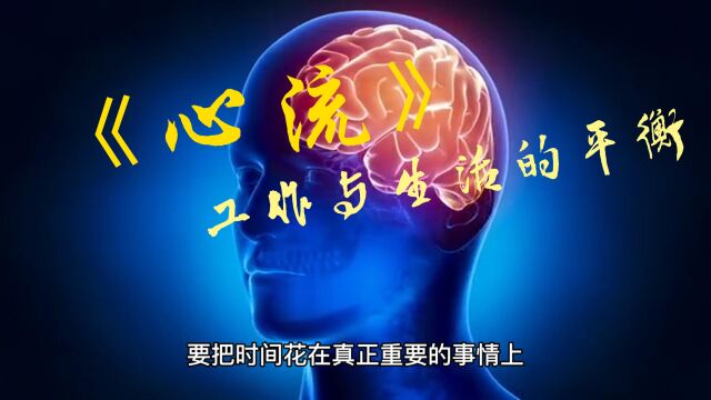 《心流》:工作与生活的平衡