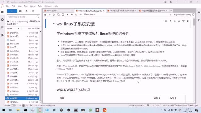 windows下安装WSLlinux子系统使用linux系统进行编程开发教程