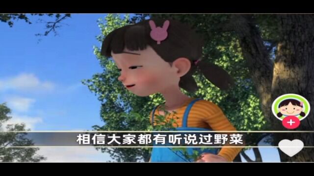 野菜知识小百科