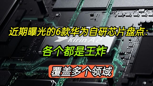 近期曝光的6款华为自研芯片盘点,各个都是王炸,覆盖多个领域