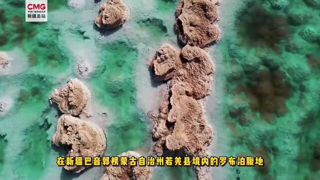 新疆罗布泊现“水上雅丹”奇景,宛如一块巨大的绿松石,叹为观止