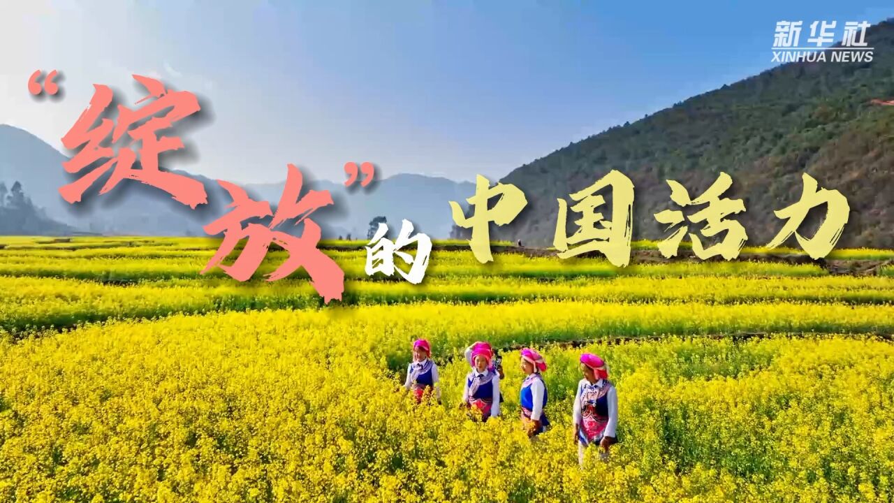 “绽放”的中国活力——“赏花经济”助推乡村振兴观察