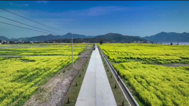 市交发集团全力推进土地综合整治 为乡村振兴蓄势赋能