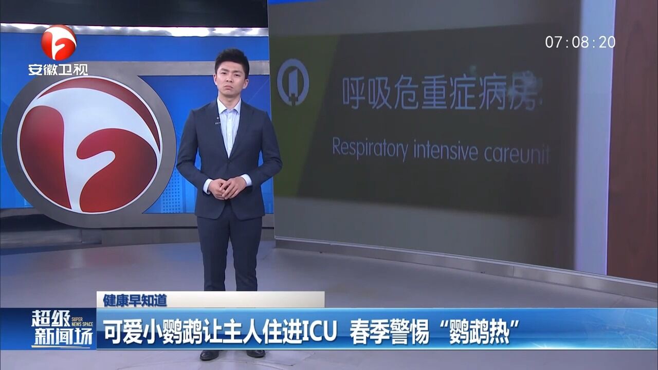 江苏南京:可爱小鹦鹉让主人住进ICU,春季警惕“鹦鹉热”