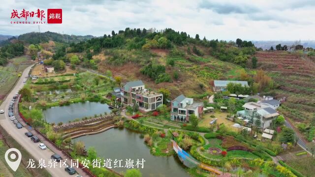 “中国水周”遇上水美乡村②丨龙泉驿区同安街道红旗村:利用天然地理优势探索山区水美乡村建设