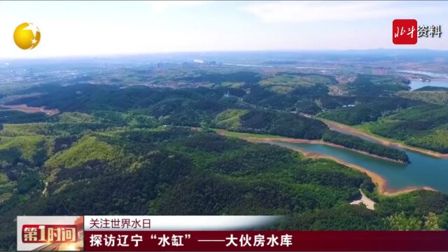 世界水日ⷤ𘭥›𝦰𔥑蠼 探访辽宁“水缸”——抚顺大伙房水库