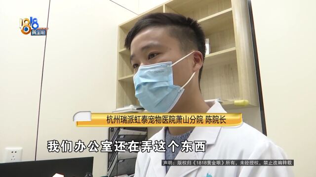 柯基配药没说费用 宠物医院价格不透明?