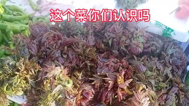 东北早市人生鼎沸,菜品齐全