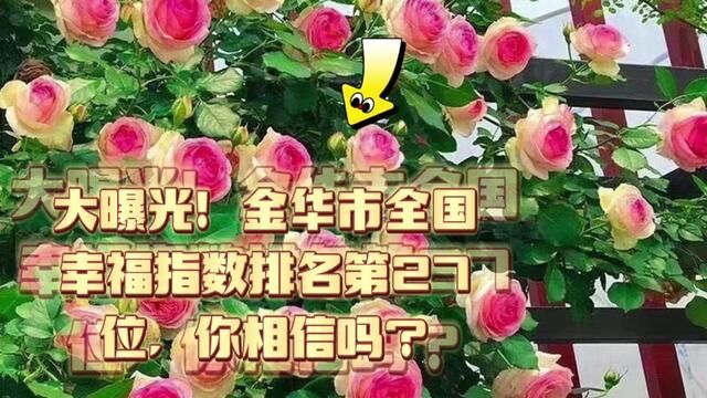 金华市幸福指数排名第27位,你相信吗?